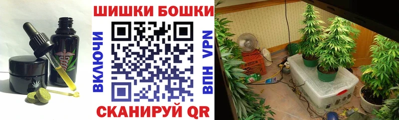 Canna-Cookies конопля  Тверь 